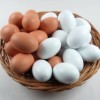木制仿真鸡蛋(白色和红色可选)